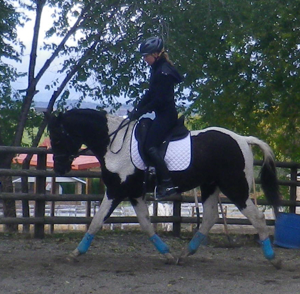 Icon trot left4.jpg